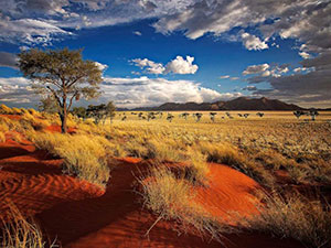 Viaggi e vacanze Namibia
