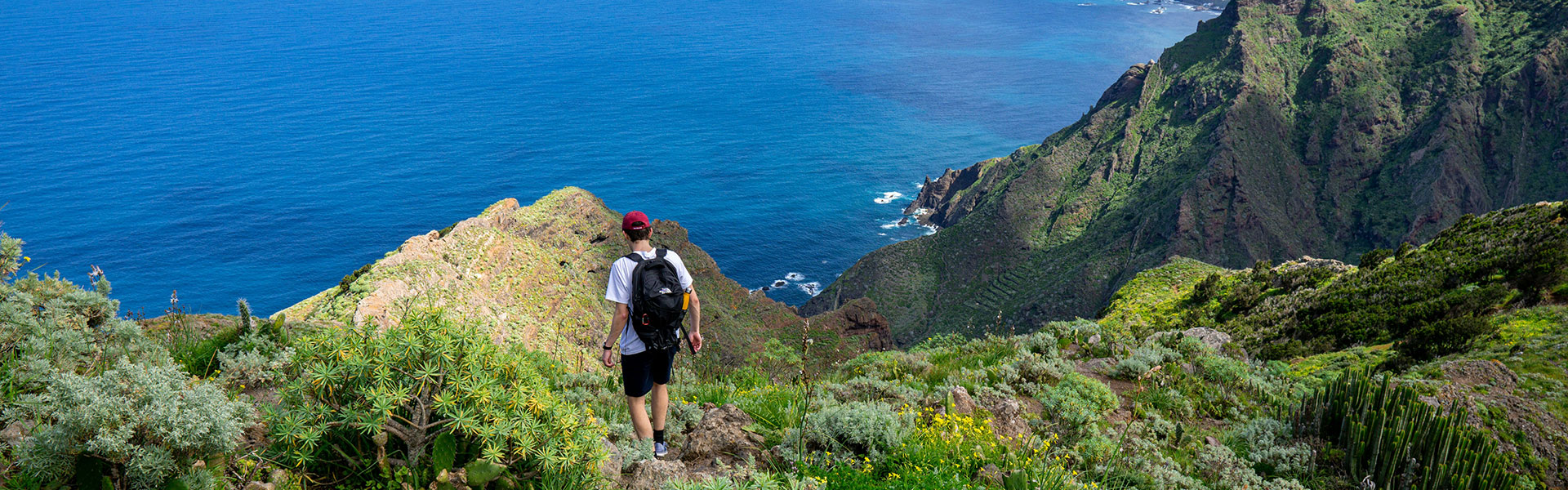 Last Minute Tour di Tenerife