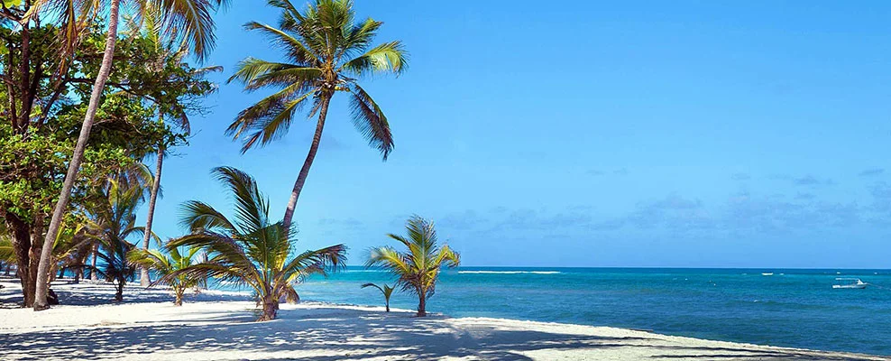 Tiwi Beach