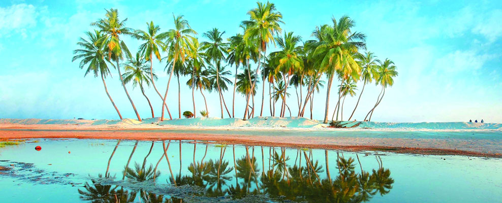 Viaggi e vacanze Salalah