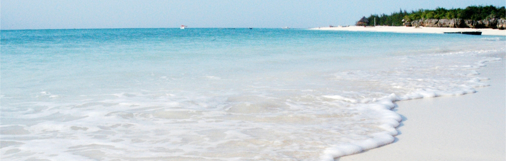 Viaggi e vacanze Nungwi