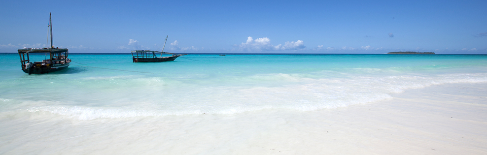 Viaggi e vacanze Pingwe